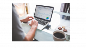 An SEO translator looking at the SEO performance of a website